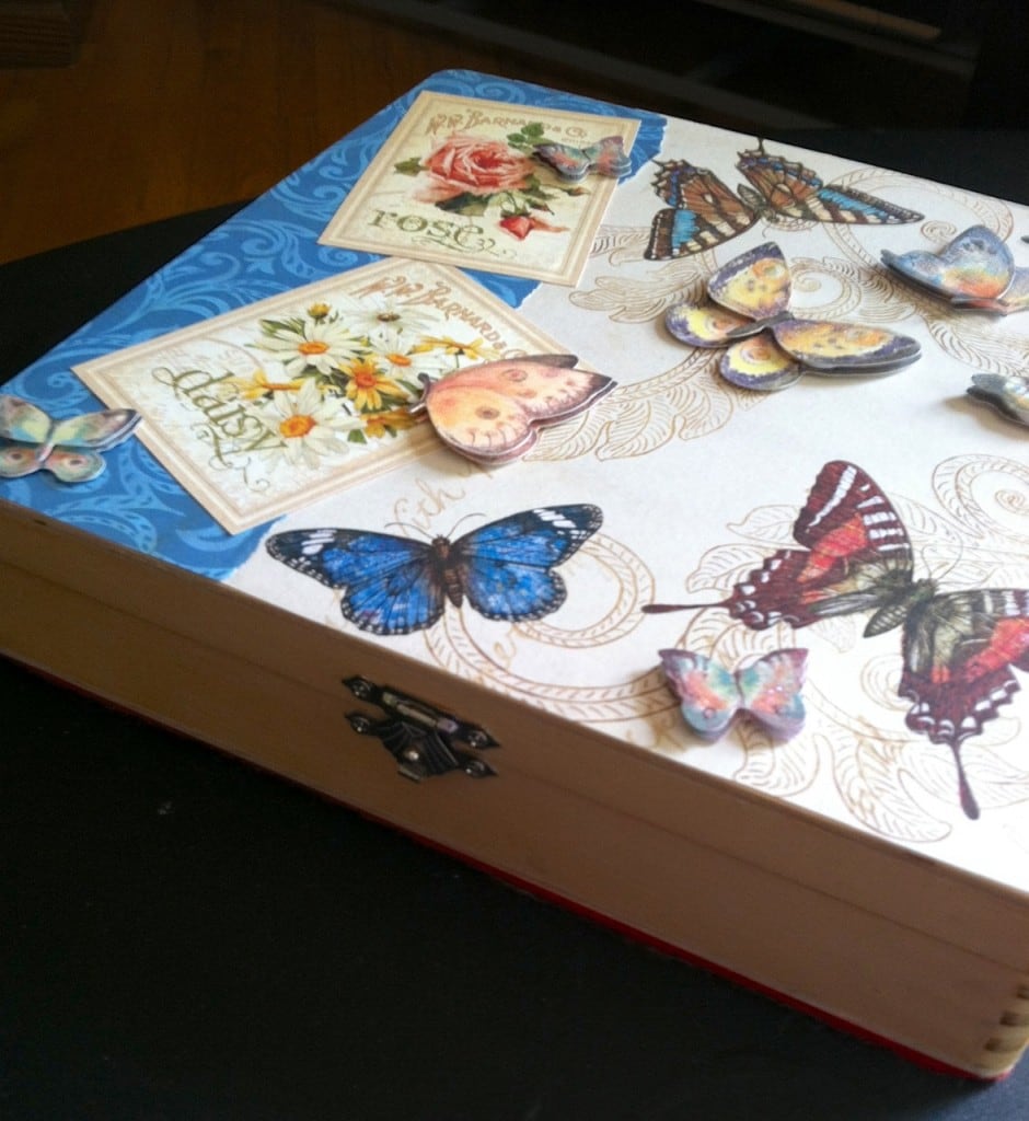 butterfly box